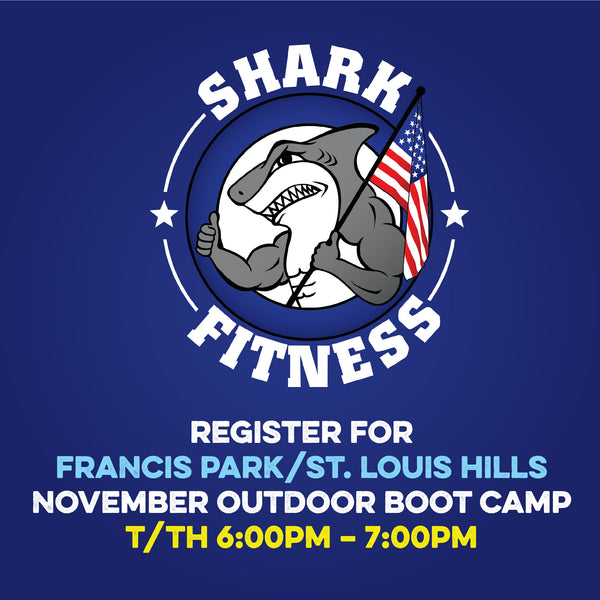 NOVEMBER 2024 T/TH 6pm Francis Park Outdoor Boot Camp